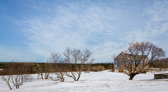 _B8A2825-Edit