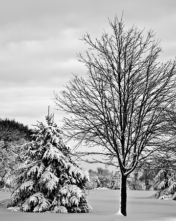 Untitled_HDR5