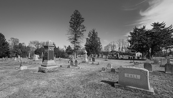 _A736288