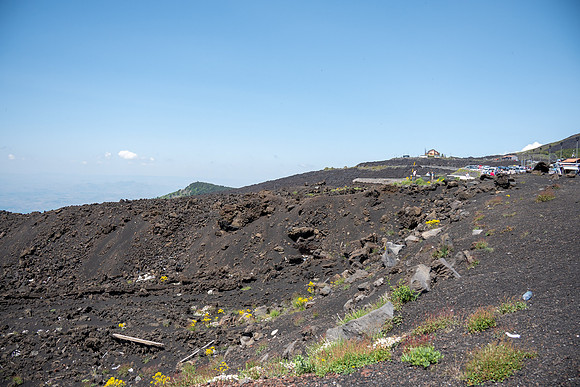 _JPL5919