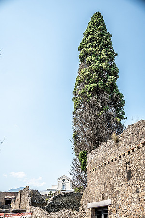 _JPL6102