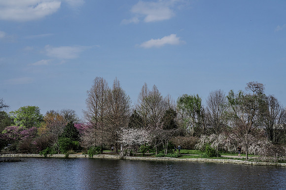 DSC02294