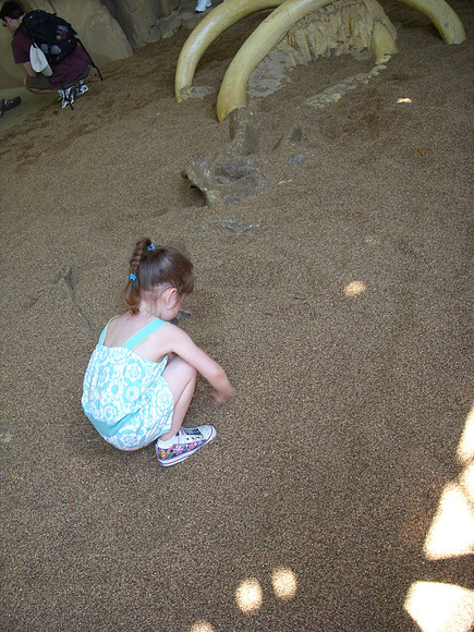 DSCN0095