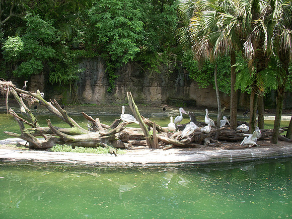 DSCN0106