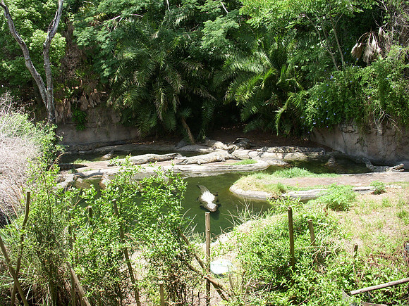 DSCN0107