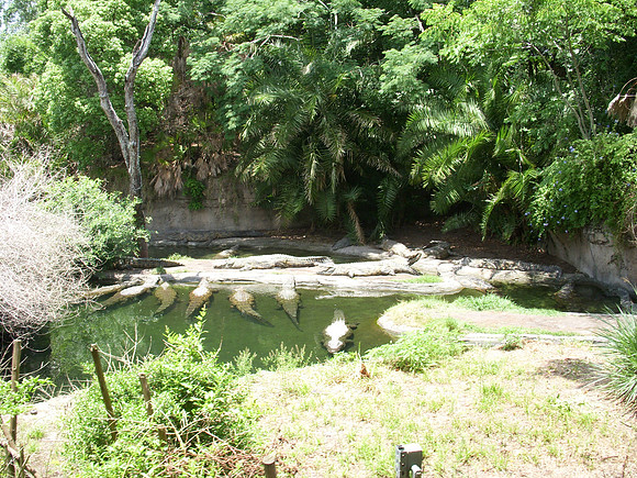 DSCN0108