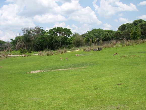 DSCN0113