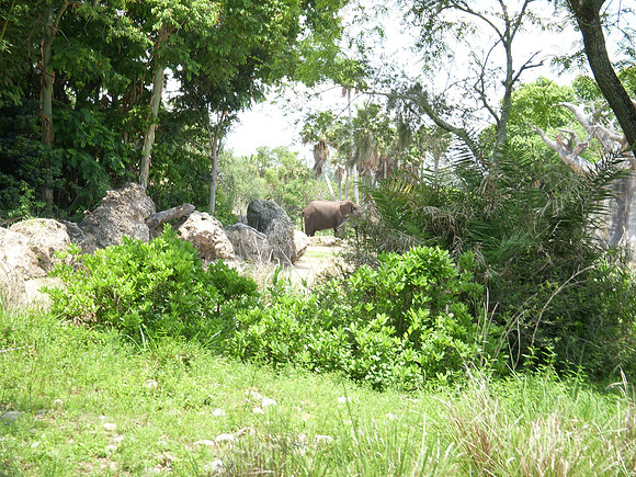 DSCN0119