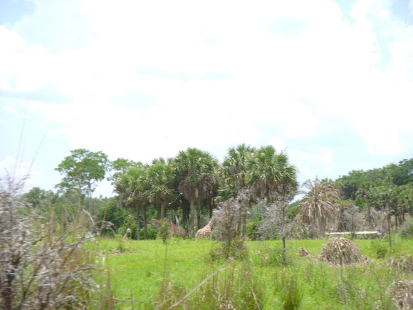 DSCN0122