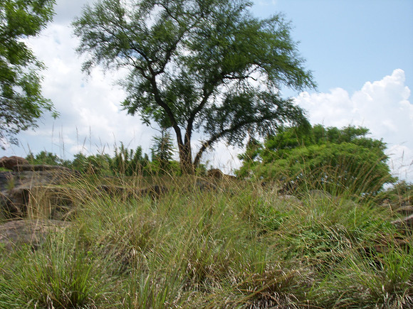 DSCN0132