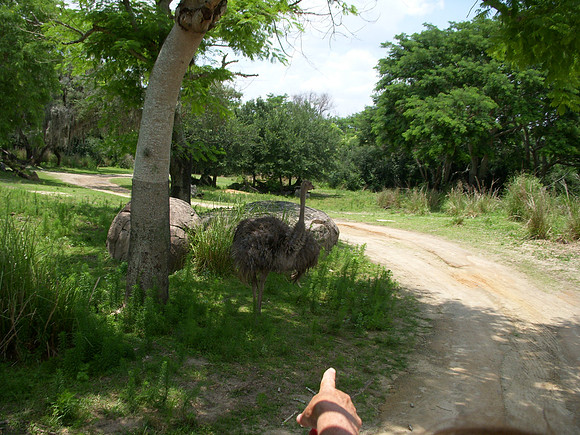 DSCN0133