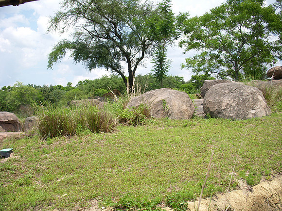 DSCN0134