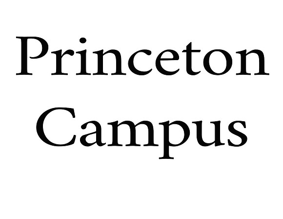 princeton copy