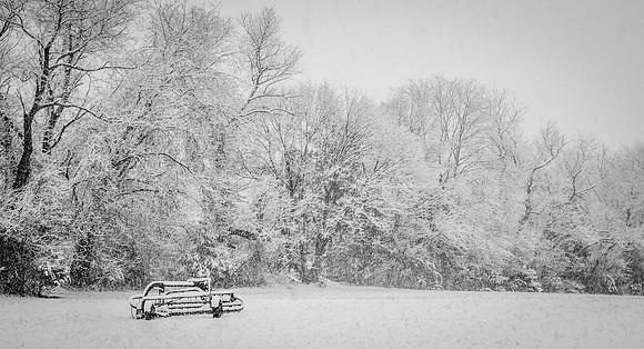 Snow Scenes 009