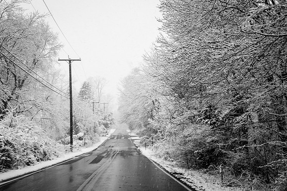 Snow Scenes 015