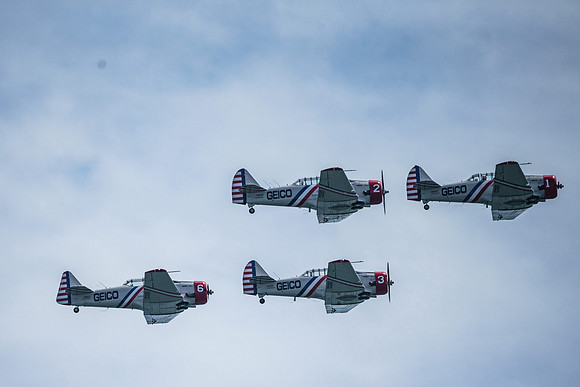 _ARL3137
