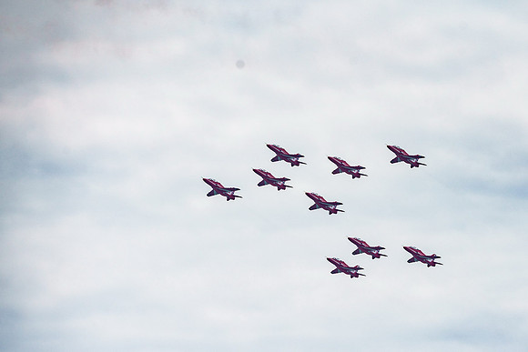 _ARL3078