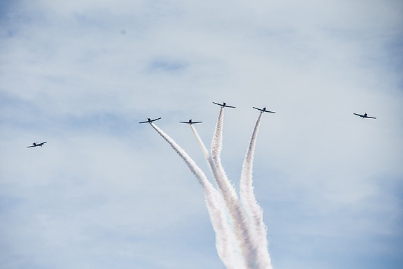 _ARL3173