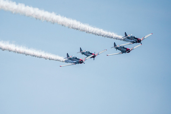 _ARL3153
