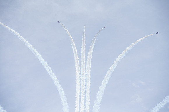 _ARL3087