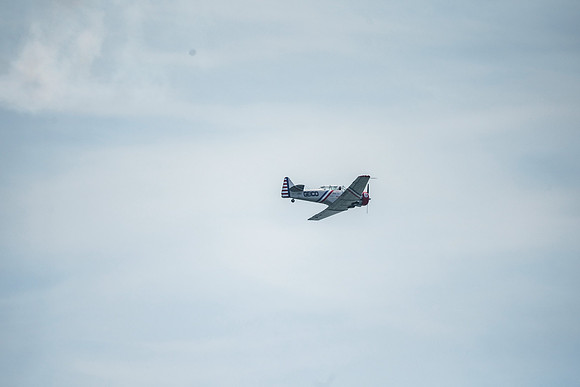 _ARL3162
