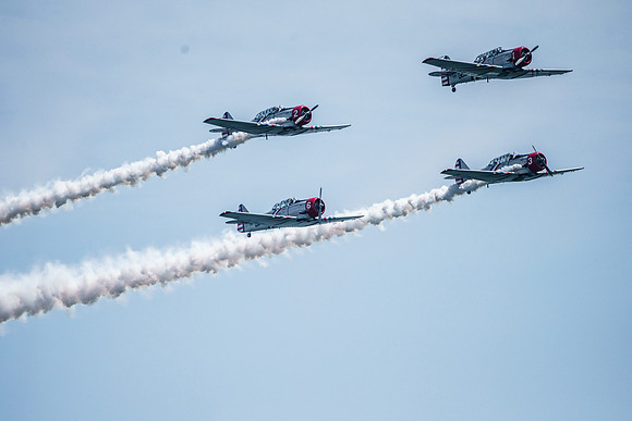 _ARL3154