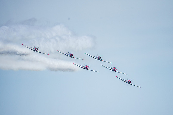 _ARL3175