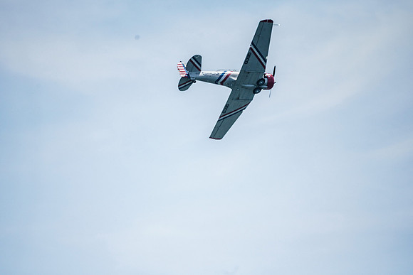 _ARL3160