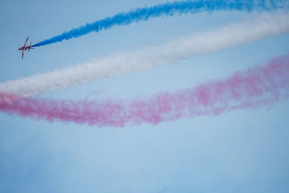 _ARL3109
