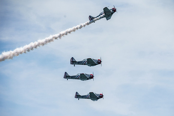 _ARL3179