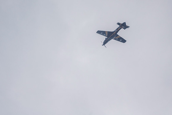 _ARL3035
