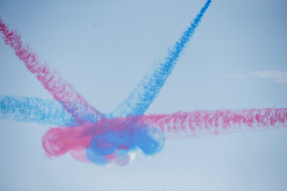 _ARL3118