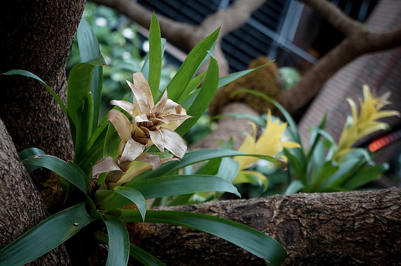 DSC02112