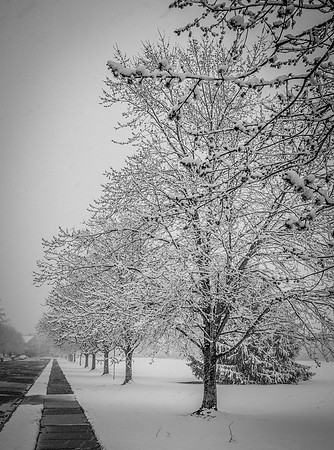 Snow Scenes 002