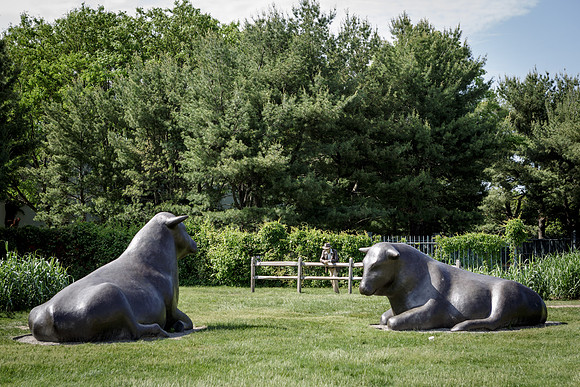 Sculpture Gardens 05 22 2017 0001