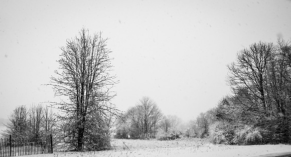 Snow Scenes 020