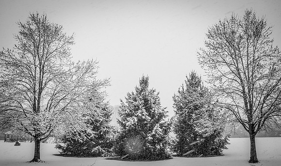 Snow Scenes 006