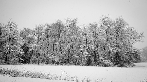 Snow Scenes 013