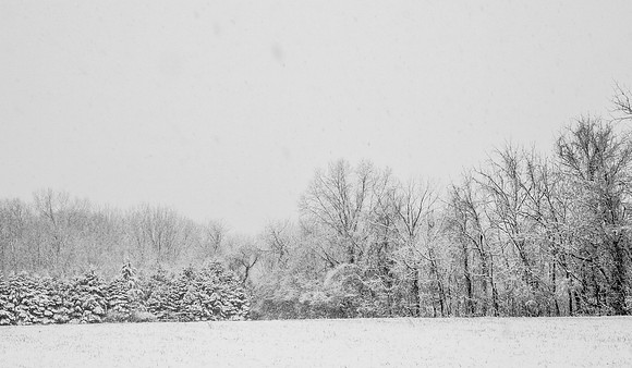 Snow Scenes 008