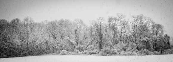 Snow Scenes 010
