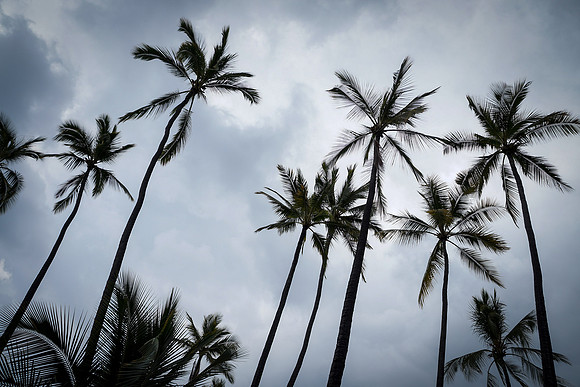 DSC04017