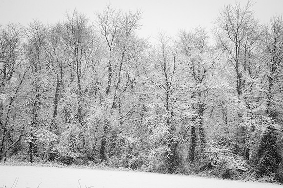 Snow Scenes 014