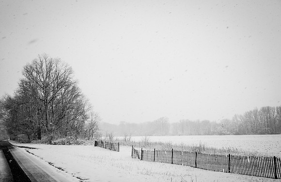 Snow Scenes 017