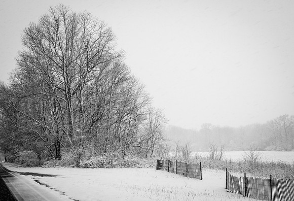 Snow Scenes 016