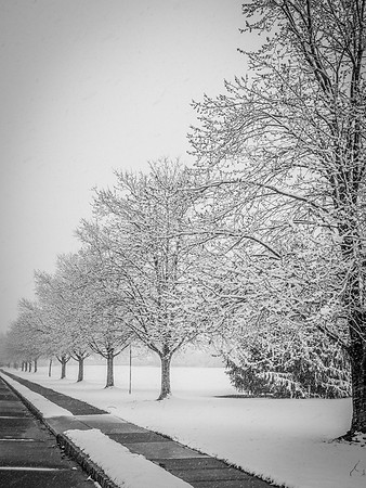 Snow Scenes 005