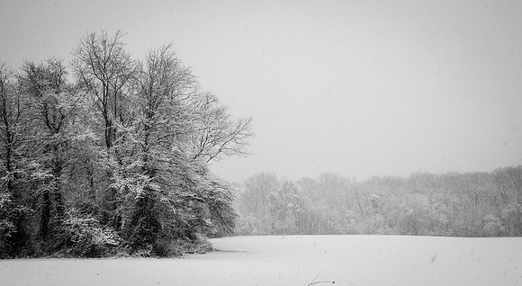 Snow Scenes 011