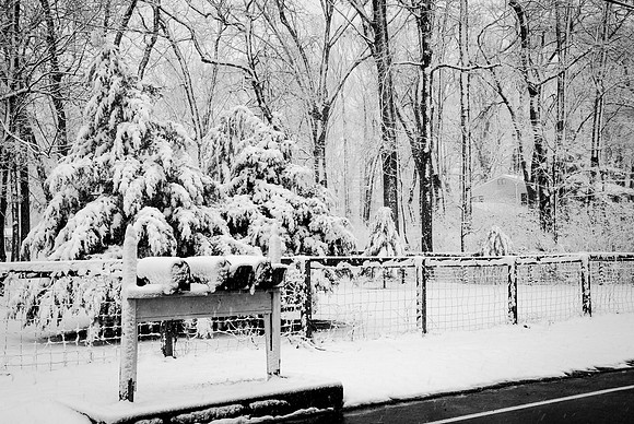 Snow Scenes 018