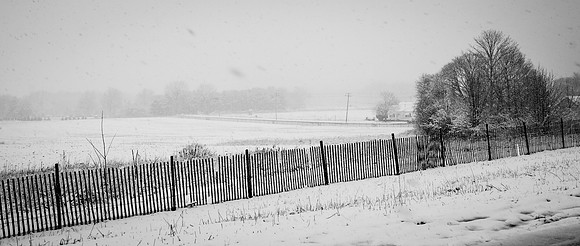 Snow Scenes 019