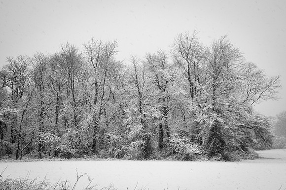 Snow Scenes 012