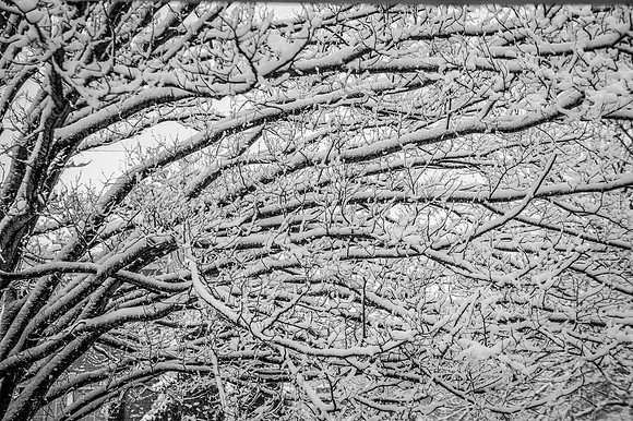 _DSC5448